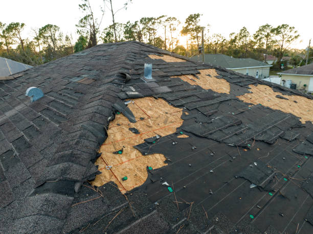 Skylights in Burns, TN